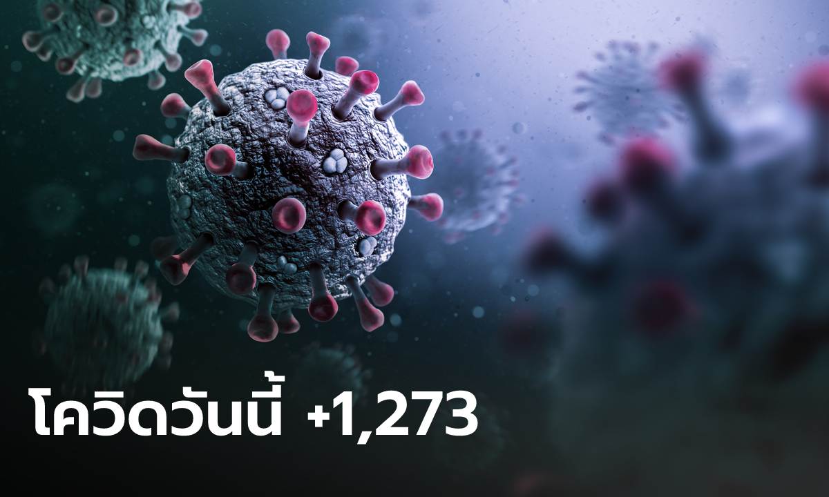 โควิดวันนี้ ไทยมีผู้ป่วยรายใหม่ รักษาตัวใน รพ. 1,273 ราย เสียชีวิตอีก 26 ราย