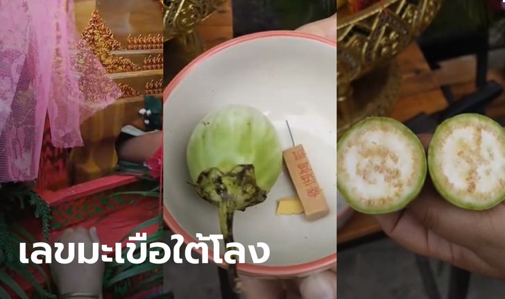 ไวรัล 2 ล้านวิว หนุ่มผ่ามะเขือใต้โลงศพยาย เห็นตัวเลข คนซื้อตามถูกหวยรวยจริง