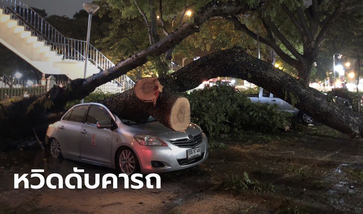 ระทึก พายุซัดต้นไม้ริมรั้วจุฬาฯ โค่นทับรถหวิดดับ เคราะห์ดีคันข้างๆ ช่วยชีวิต