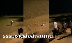 ปรากฏการณ์แปลกๆ ปลากระโดดเกยหาดบางแสน สัญญาณธรรมชาติเข้าหน้าหนาว