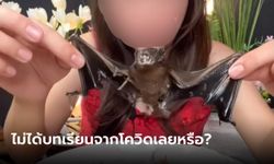 "หมอแล็บ" ขอหยุดเถอะ ครูสาวเปิบพิสดาร "ค้างคาว" หวั่นเกิดโรคแปลกระบาดสู่คนอีก