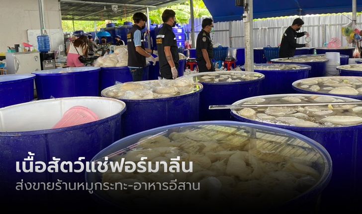 ยึดเพียบ! เนื้อสัตว์–เครื่องในแช่ฟอร์มาลีน ส่งร้านหมูกระทะและอาหารอีสาน 66 แห่ง