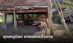 สลด ยายวัย 80 ชาวโคราช นอนแข็งตายใต้ถุนบ้าน หลังอุณหภูมิลดต่ำ 13 องศา