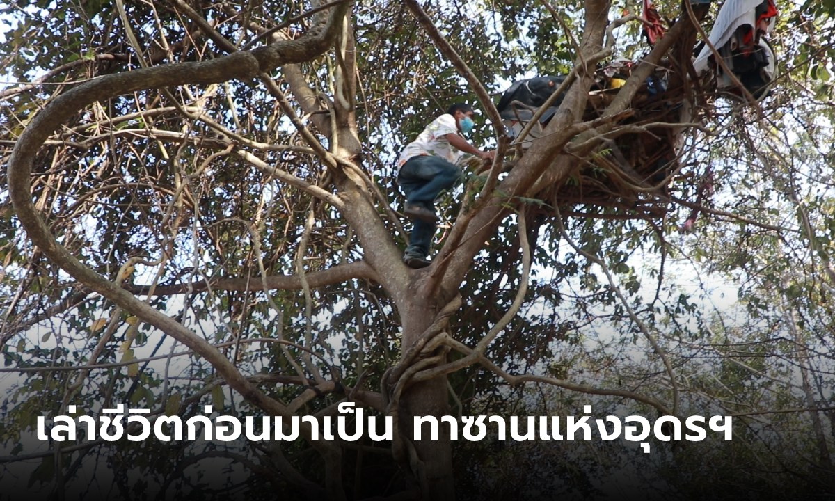 เปิดชีวิต ทาซานแห่งอุดรฯ สร้างห้องอยู่บนต้นไม้ 3 ปี เจอพิษโควิดไม่มีค่าเช่าบ้าน