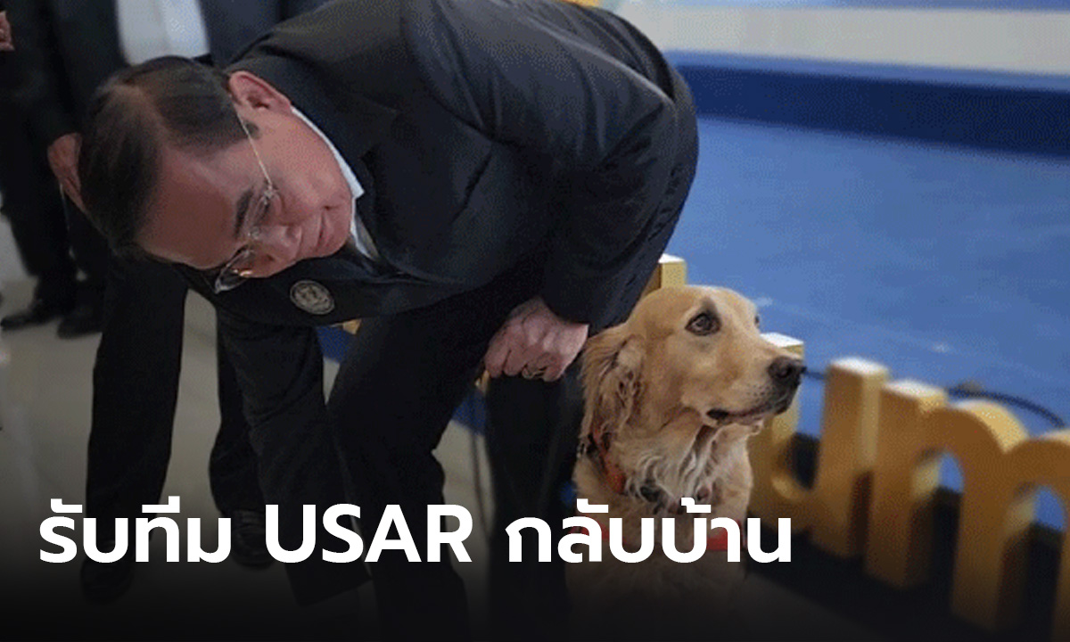 ถึงไทยแล้ว ทีม USAR ช่วยเแผ่นไหวตุรกี  นายกต้อนรับถึงสนามบิน ชม “เซียร่า-ซาฮาร่า” คือวีรบุรุษ