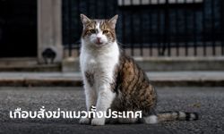 สหราชอาณาจักรเกือบสั่งกำจัดแมวทั้งประเทศสกัดโควิด-19 อดีตรัฐมนตรีเผย