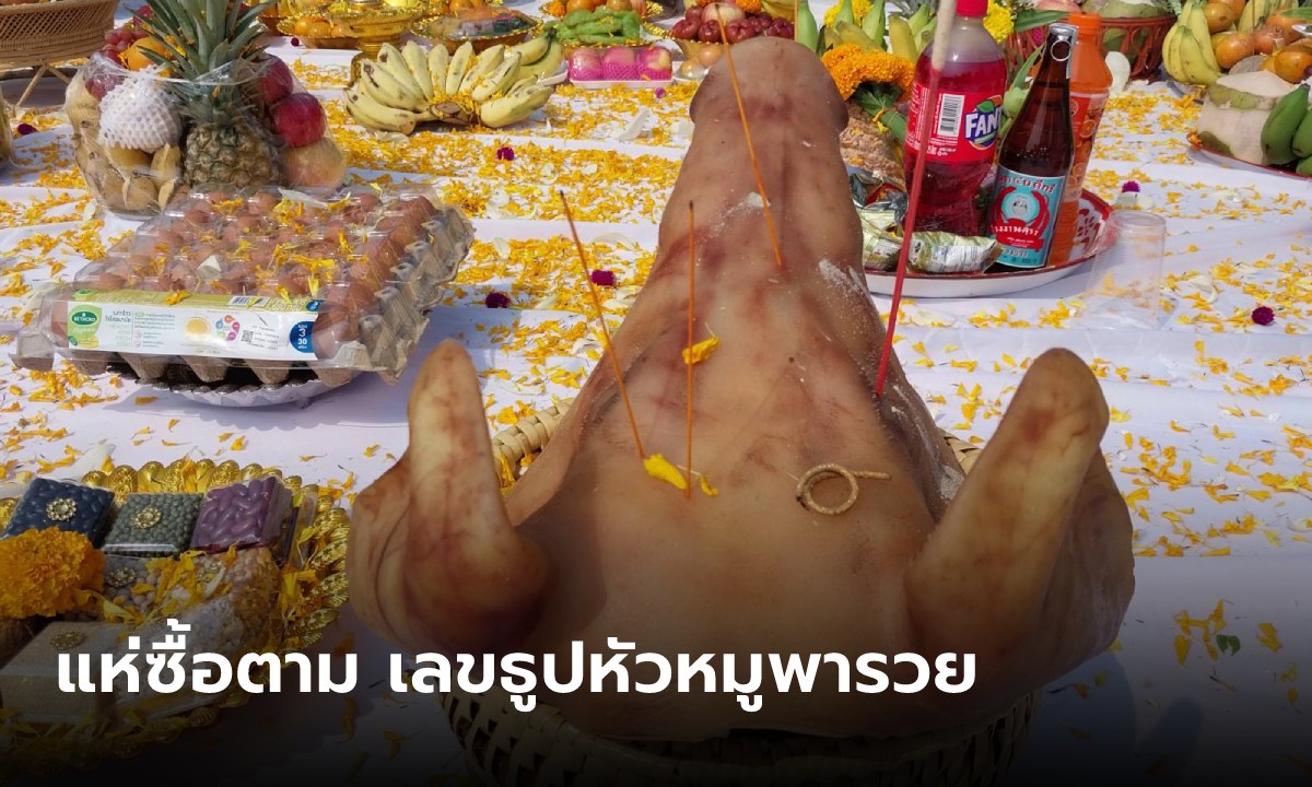 เลขธูปหัวหมูสุรินทร์ออกแล้ว ชาวบ้านคอนเฟิร์มแม่นจริง ปีก่อนถูกหวยรวยยกตำบล