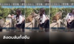 คนถ่ายยังช็อก สาวลองยื่น "สับปะรด" ให้ลิงกิน สุดท้ายกรี้ดเสียงหลง โดนตบล้มทั้งยืน