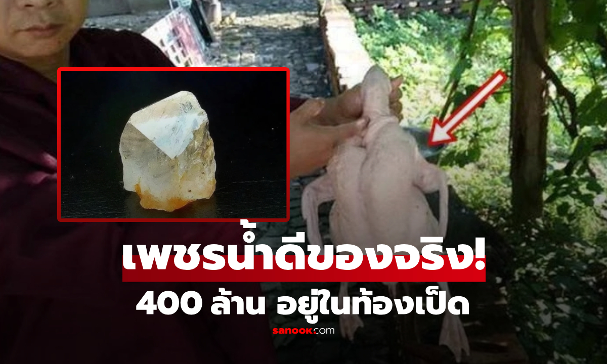 ผ่าเป็ดเจอหินใสๆ เมียบอกเอาไปทิ้ง ผัวชอบแอบเก็บไว้ กลายเป็นของดีราคา 400 ล้าน!