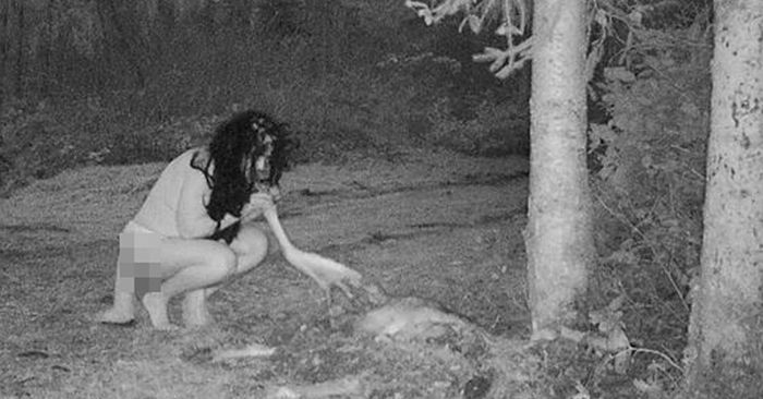 สาวตั้งกล้องบันทึกภาพซากกวางในสวน ตอนจบที่ได้รับคือความสยดสยองอย่างยิ่ง