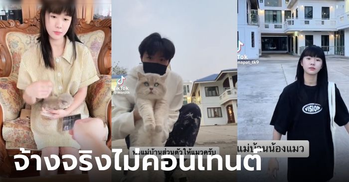 หนุ่มจ้างแม่บ้านดูแลแมว ค่าจ้างสัปดาห์ละ 7 พัน มีรถหรูป้ายแดงให้ขับ บัตรเครดิตอีก 1 ใบ