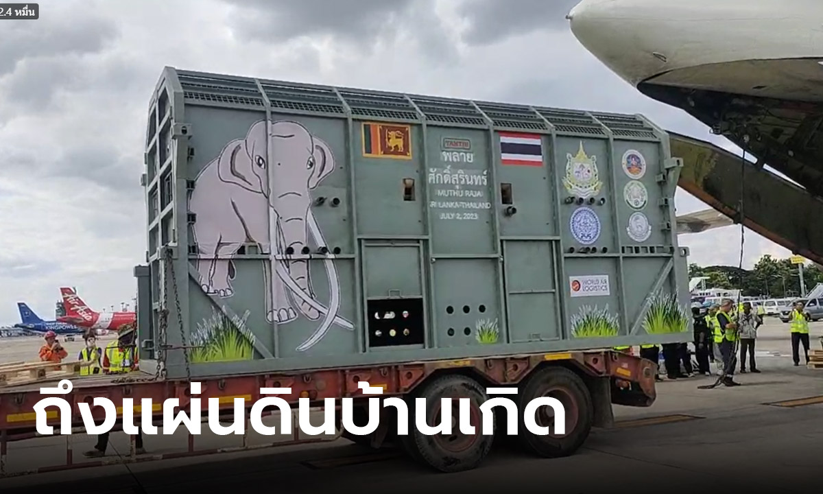 "พลายศักดิ์สุรินทร์" กลับถึงไทยแล้ว  จบภารกิจขนย้ายสิ่งมีชีวิตใหญ่ที่สุดบินข้ามประเทศ