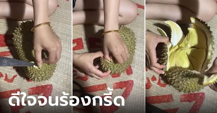 สาวรีวิวซื้อทุเรียนถูกๆ ลูกเล็กทรงไม่สวย แต่ผ่าออกมาดีใจจนกรี้ด ไม่คาดหวังไม่ผิดหวังจริงๆ