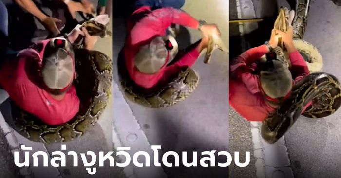 หนุ่มจับงูหลามพม่ายาวสุดในโลก 5.79 เมตร เผยนาทีระทึกล้มแล้วโดนรัด สู้กันสุดชีวิต