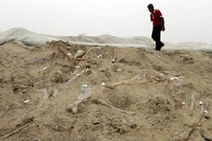 จีนพบรอยเท้าไดโนเสาร์หลายพันรอย