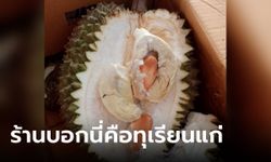 สาวช้ำใจ ทุเรียนลูกละ 1,280 ผ่าออกมาแล้วสิ้นหวัง ร้านไม่รับเคลม บอกดูดีๆ แบบนี้แก่แล้ว