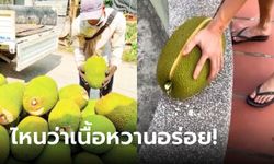 หนุ่มเชื่อพ่อค้าโฆษณา "ขนุนหวานไร้เมล็ด" ฝ่าออกมาถึงกับเงิบ ใครเห็นก็เวทนา