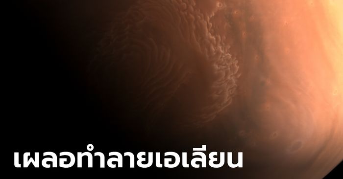 แรงมาก! คาดนาซาพบสิ่งมีชีวิตดาวอังคาร 50 ปีที่แล้ว แต่เผลอทำลาย