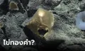 มันคืออะไร? พบวัตถุสีทองลึกลับใกล้ภูเขาไฟใต้น้ำ นักวิทยาศาสตร์ยังแอบผวา