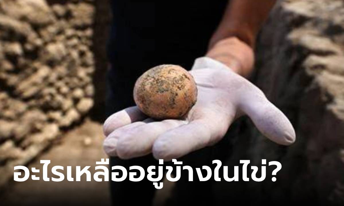 เหลือเชื่อ พบไข่ไก่อายุ 1,000 ปี คงสภาพได้เพราะ "อุจาระ" เฉลยชัดๆ มีอะไรเหลืออยู่ข้างใน?