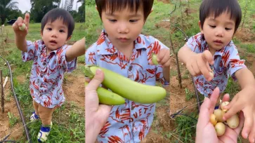 "น้องทะเล" สวมบทเกษตรกรน้อย ลุยเก็บผักในสวนที่ปลูกไว้กินเอง