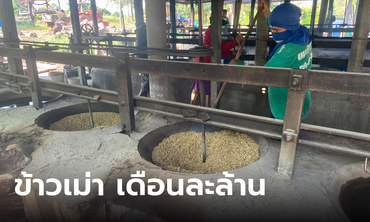 ท้องถิ่นทำเงิน! โอกาสทองข้าวเม่าภูมิปัญญาอีสาน โกยเดือนเป็นล้าน