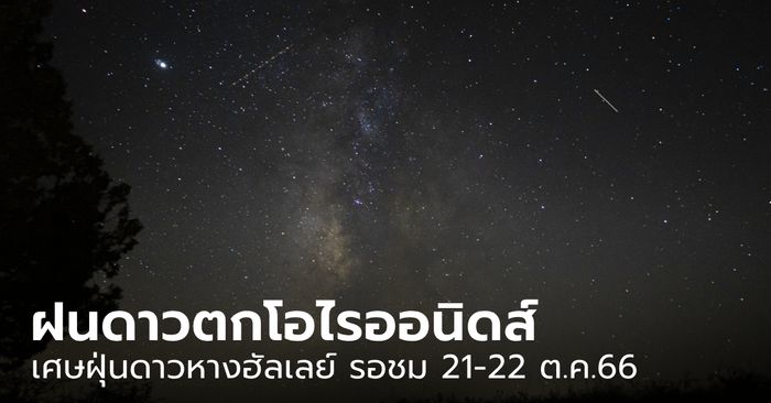 ชวนชม ฝนดาวตกโอไรออนิดส์ สายธารจากเศษฝุ่นดาวหางฮัลเลย์ 21-22 ต.ค.66