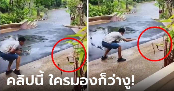 แกงมาก! หนุ่มอัดคลิป "จับงูด้วยมือเปล่า" คนดูลุ้นจนตัวเกร็ง สุดท้ายเฉลย เอ๊า!!! ไม่มีงู