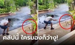 แกงมาก! หนุ่มอัดคลิป "จับงูด้วยมือเปล่า" คนดูลุ้นจนตัวเกร็ง สุดท้ายเฉลย เอ๊า!!! ไม่มีงู