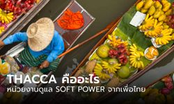 THACCA คืออะไร ว่าด้วยหน่วยงานดูแล SOFT POWER ของ "เพื่อไทย" อย่างเป็นระบบ