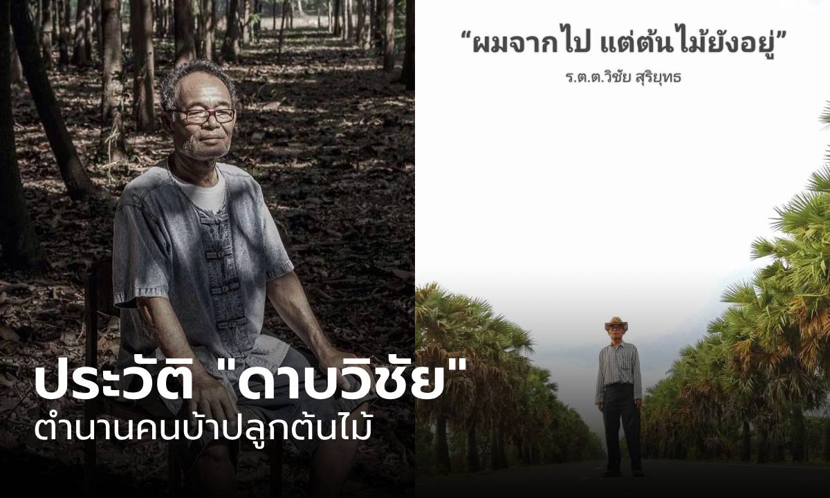 เปิดประวัติ "ดาบวิชัย" ตำนานคนบ้าปลูกต้นไม้ วีรบุรุษผู้พลิกผืนดิน