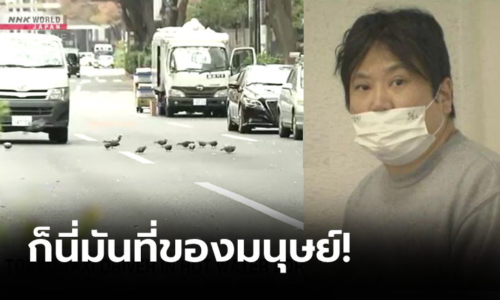 ชาวเน็ตเสียงแตก! "โชเฟอร์แท็กซี่ญี่ปุ่น" โดนจับหลังฆ่านกพิราบตาย 1 ตัว