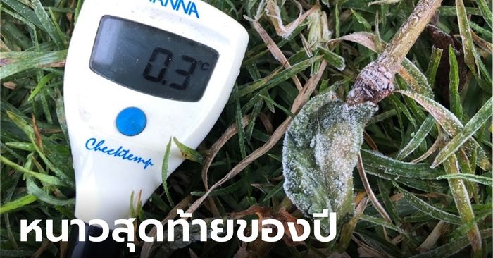 เหมยขาบมาแล้ว ดอยอินทนนท์ 5 องศา รีบตักตวงความเย็นสุดท้ายของปี หนาวถึงวันไหน?