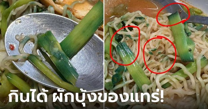 ไม่ต้องตกใจ! "ผักบุ้งสีตก" กินได้ ไม่อันตราย "หมอแล็บ" เฉลยให้หายผวา มันคืออะไร?