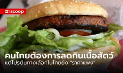 Madre Brava เผยวิจัย คนไทยต้องการ "ลดกินเนื้อสัตว์" แต่โปรตีนทางเลือกยังราคาแพง