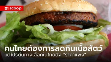 Madre Brava เผยวิจัย คนไทยต้องการ "ลดกินเนื้อสัตว์" แต่โปรตีนทางเลือกยังราคาแพง