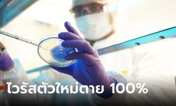 นักวิทย์จีนพบไวรัสโคโรนาตัวใหม่ เชื้อโจมตีสมองโดยตรง อัตราการตาย 100%