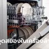 เครื่องล้างจานต้องทำความสะอาดไหม? ผู้เชี่ยวชาญเฉลย เบื้องหลังสยองเกินจินตนาการ" width="100" height="100