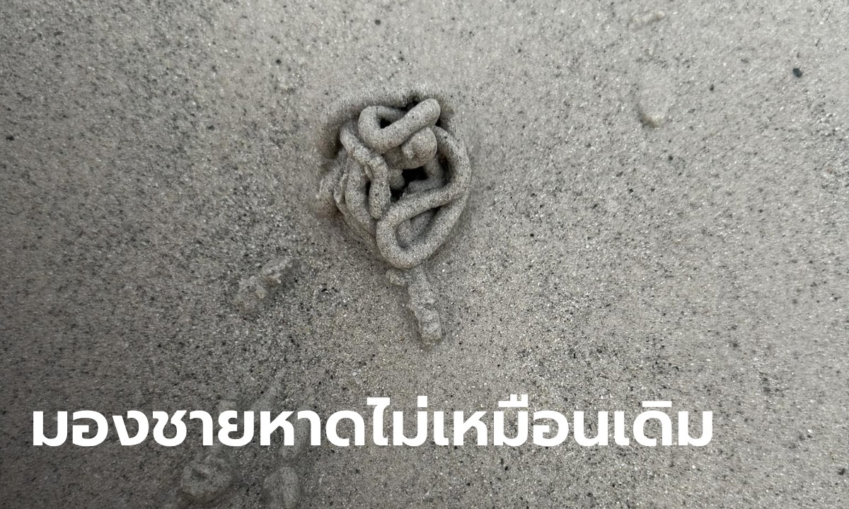 เจอกองทรายเป็นแท่งขดแปลก ๆ รู้เฉลยแล้วขนลุก ไม่ใช่รูปู ที่แท้เข้าใจผิดมาตลอด