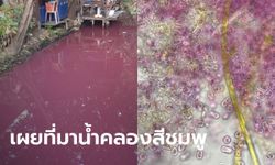 ผลตรวจน้ำคลองสีชมพู ออกแล้ว อว.ใช้กล้องจุลทรรศน์กำลังขยาย 600 เท่าส่อง