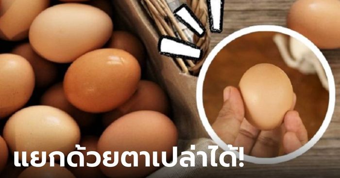 รู้ปุ๊บง่ายเลย! วิธีแยกแยะไข่เก่า-ไข่ใหม่ มองด้วยตาเปล่าก็รู้ทันที