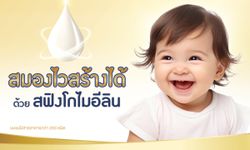 สฟิงโกไมอีลินในนมแม่ เสริมสร้างให้ลูกสมองไว เริ่มต้นที่ขวบปีแรก