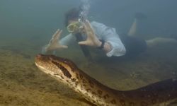 โลกตะลึง พบ "อนาคอนดา" สายพันธุ์ใหม่ ในแอมะซอน นักวิทย์โชว์ว่ายน้ำเคียงคู่