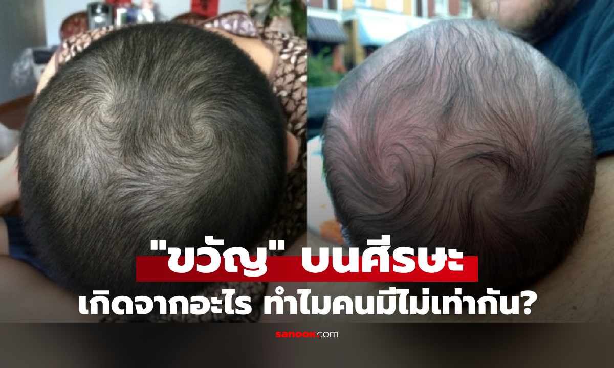 ไขปริศนาความเชื่อ “ขวัญบนหัว” เกิดจากอะไร ทำไมมีไม่เท่ากัน เด็กมี 3 ขวัญ จะฉลาดกว่าปกติ?