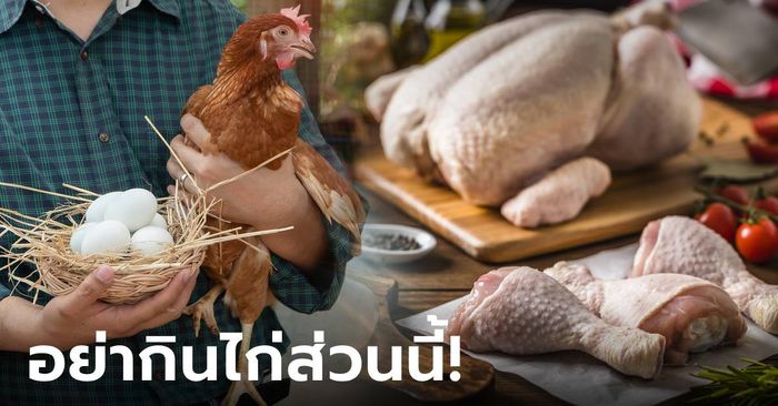 เผยชัดๆ ส่วนที่สกปรกที่สุดของ “ไก่” เต็มไปด้วยปรสิต แต่หลายคนไม่รู้ และยังกินมันอยู่!