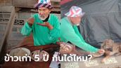 ข้าวเก่า 5 ปี ยังกินได้ไหม? "ปราชญ์เรื่องข้าว" พิสูจน์ให้ดูชัด ๆ แถมให้หมากินด้วย