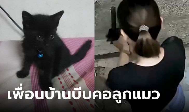 เพื่อนบ้านเหี้ยม จับลูกแมวบีบคอ อ้างไม่รู้ไม่เห็นแต่หลักฐานชัด นุ่งห่มขาวมาขอขมา