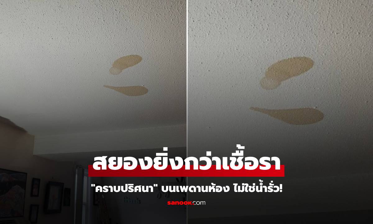 สาวเจอ "คราบปริศนา" บนเพดานห้อง ไม่ใช่น้ำรั่ว ไม่ใช่เชื้อรา ผู้รู้เฉลยมีสยอง!