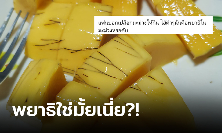 หายสงสัยเสียที! "เส้นสีดำในมะม่วงสุก" มันคืออะไร? กินแล้วอันตรายมั้ย?