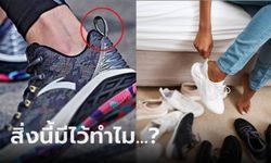 "หูส้นรองเท้า" มีไว้ทำไม?  เผยประโยชน์สุดว้าว 4 ข้อ ไม่ได้ไร้ค่าอย่างที่คิด!